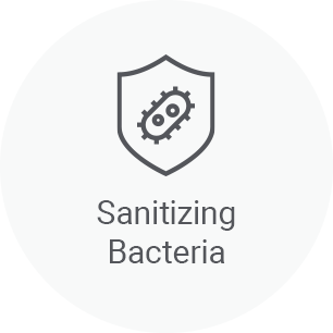 Sanitizing Bacteria